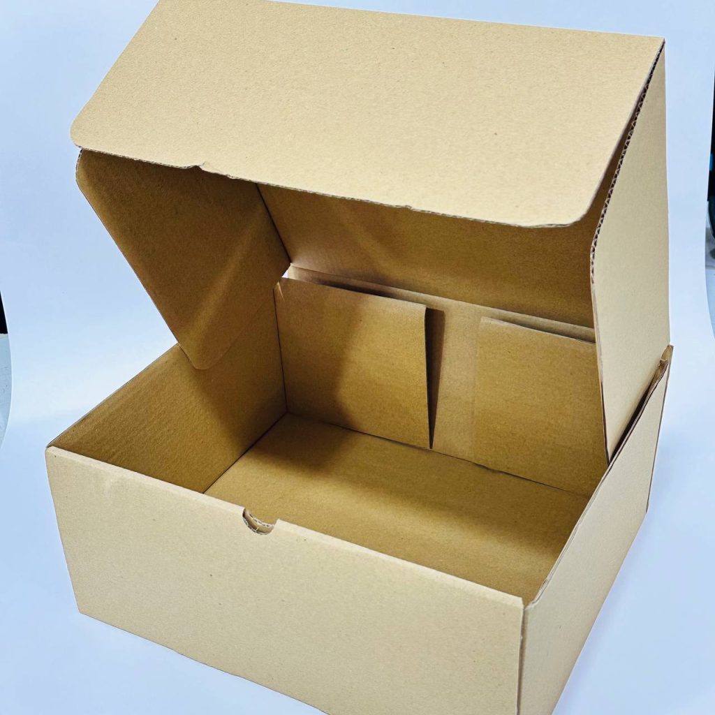 photo 2 2024 10 08 14 36 34 large