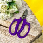 مقص ورد طبيعي حاد ستانستيل