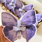 ⁦مجموعة 6 عبوات زجاجية فارغة حجم 3 مل لتوزيعات المناسبات وتقسيمات العطور⁩ - الصورة ⁦3⁩