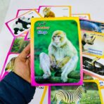 ⁦مجموعة بطاقات الحيوانات التعليمية للاطفال 17 كرت مقوى عربي انجليزي فرنسي⁩ - الصورة ⁦2⁩