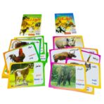 مجموعة بطاقات الحيوانات التعليمية للاطفال 17 كرت مقوى عربي انجليزي فرنسي