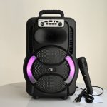 مكبر صوت بلوتوت مع ميكروفون صوت صافي وواضح بقوة 20وات