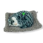 لعبة قطة نائمة نسخه حقيقية على مخدة، صوت مياااو بالضغط