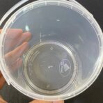 ⁦علبة بلاستيك 1 كيلو للحفظ الغذائي الآمن ، غطاء محكم الاغلاق  1 لتر⁩ - الصورة ⁦7⁩