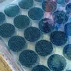 ⁦اقراص لاصقة من الظهر للأشغال الحرفية لون أبيض × أسود ، وصنع ملصقات الحروف التعليمية للأطفال -  30 قرص⁩ - الصورة ⁦4⁩