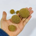 ⁦مجموعة كرات البحر الطبيعية 10 قطع لصنع الديكور والأشغال اليدوية مناسبة لطلبة التصميم الداخلي والفنون⁩ - الصورة ⁦2⁩